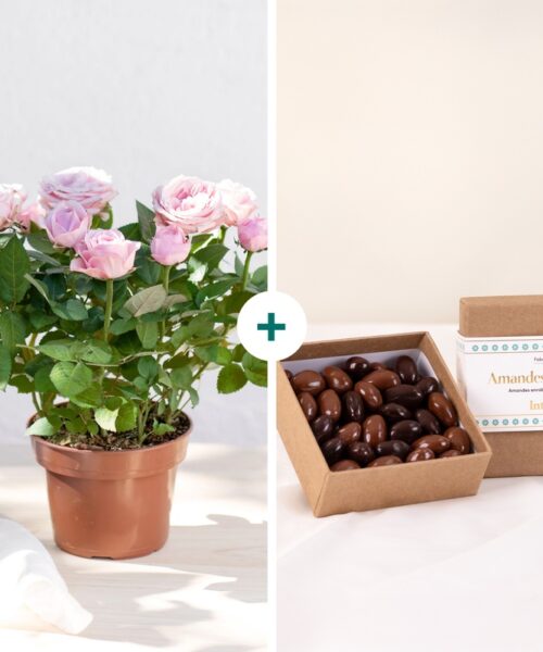 Rosier et ses chocolats - Livraison de fleurs - Interflora
