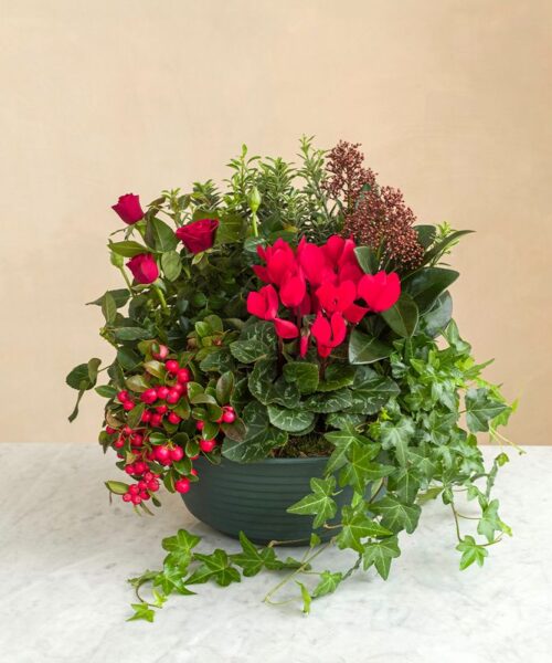 Coupe de plantes rouge