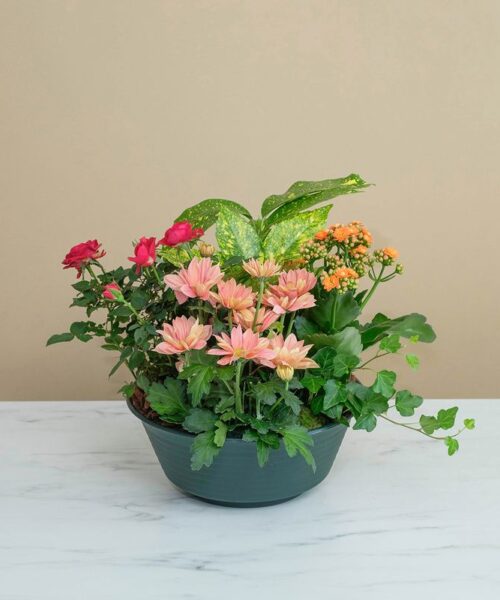 Coupe de plantes de saison