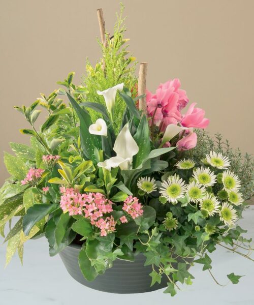 Délicates pensées - Livraison de fleurs deuil - Interflora