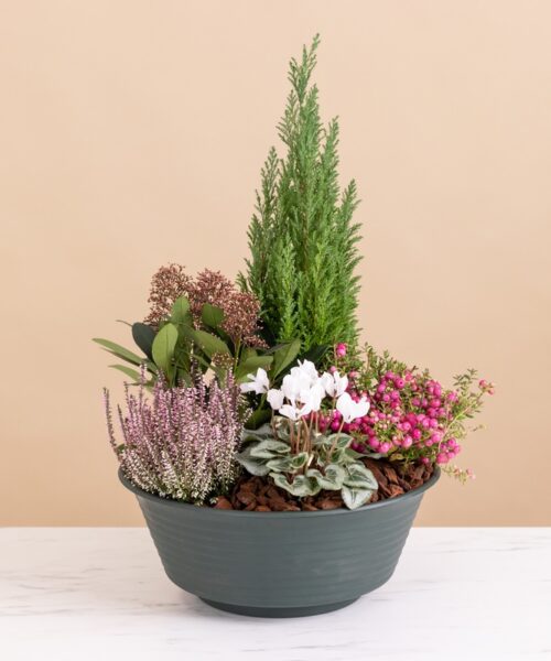 Hommage paisible  - Livraison de fleurs - Interflora