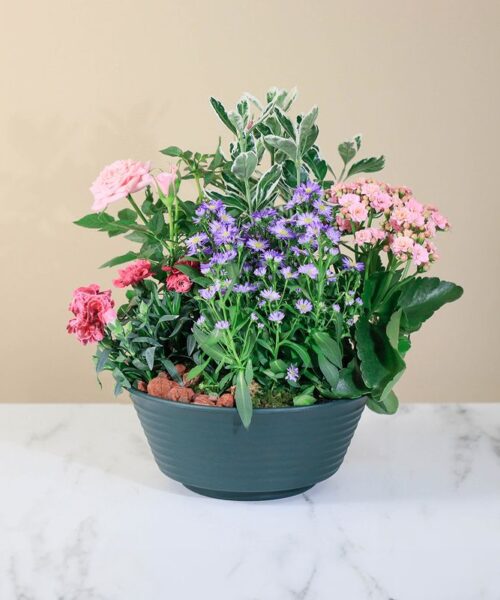Coupe de plantes fleuries