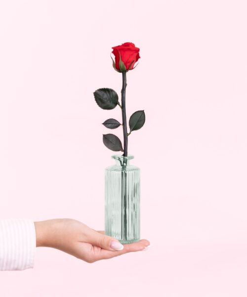 Rose éternelle et son soliflore - Interflora - Livraison de fleurs