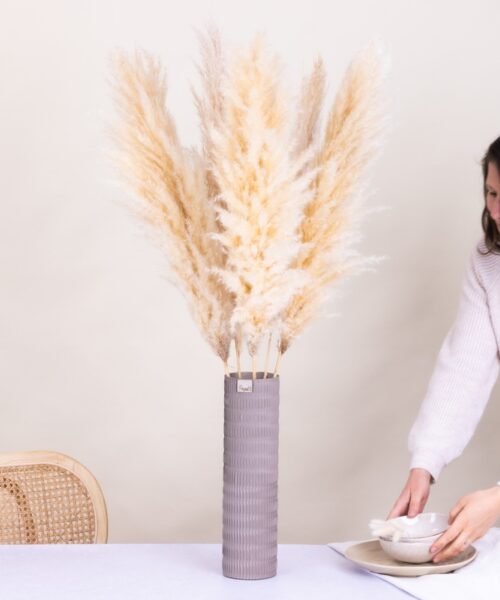 Pampa Mood & vase - Fleurs séchées - Interflora - Livraison en 24h